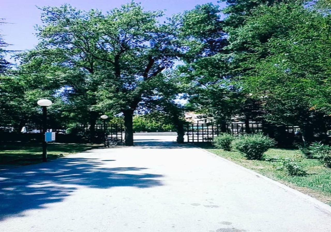 Karditsa Home Sweet Home 80 τ.μ Εξωτερικό φωτογραφία