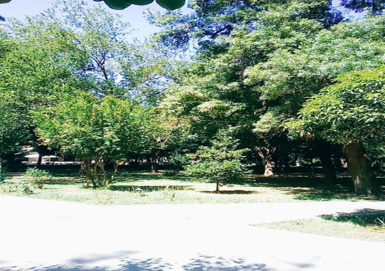 Karditsa Home Sweet Home 80 τ.μ Εξωτερικό φωτογραφία